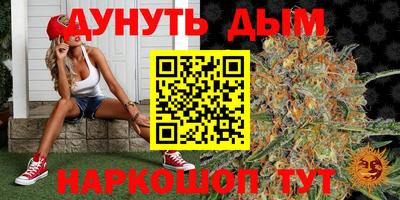 крисы Берёзовский