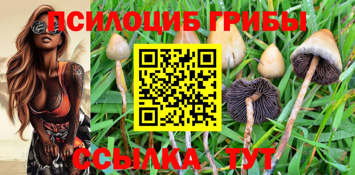 Псилоцибиновые грибы Psilocybine cubensis Благодарный