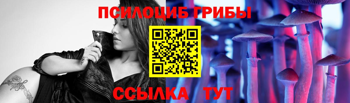 Галлюциногенные грибы мицелий  Галлюциногенные грибы Psilocybe  Благодарный  Вход с VPN 